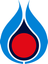 PTT Public Company Limited logo