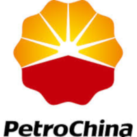PetroChina Company Limited Takani