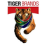 Tiger Brands Ltd logo