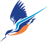 Kingfisher PLC Takani