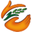 LT Foods Limited logo