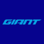 Giant Manufacturing Co Ltd logo