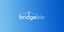 BridgeBio Pharma Inc logo
