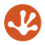 Bullfrog AI Holdings, Inc. Common Stock logo
