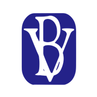 BV Financial, Inc. Common Stock Takani