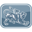 Chimera Investment Corporation logo