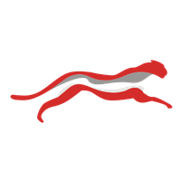 Cheetah Net Supply Chain Service Inc. Class A Common Stock Takani