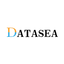 Datasea Inc logo