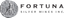 Fortuna Silver Mines Inc logo