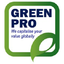 GreenPro Capital Corp logo