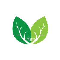 Greenwave Technology Solutions Inc. Common Stock Takani