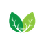Greenwave Technology Solutions Inc. Common Stock logo