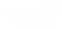 Maravai Lifesciences Holdings Inc Takani
