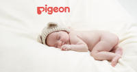 Pigeon Corp ADR Takani