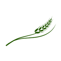 Sadot Group Inc. Takani