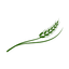 Sadot Group Inc. logo