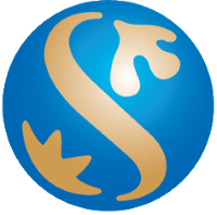 Shinhan Financial Group Co Ltd Logo