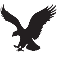 American Eagle Outfitters Inc Takani
