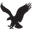 American Eagle Outfitters Inc