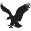American Eagle Outfitters Inc logo
