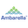 Ambarella Inc
